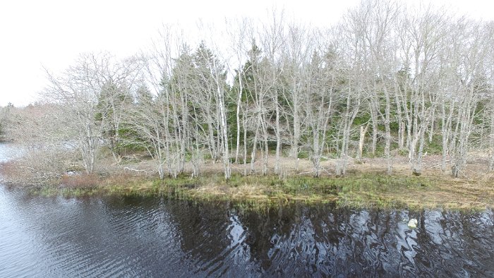 WentworthHalbinsel (67)